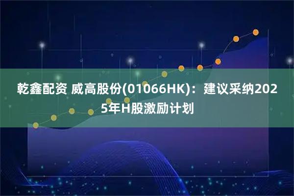 乾鑫配资 威高股份(01066HK)：建议采纳2025年H股激励计划