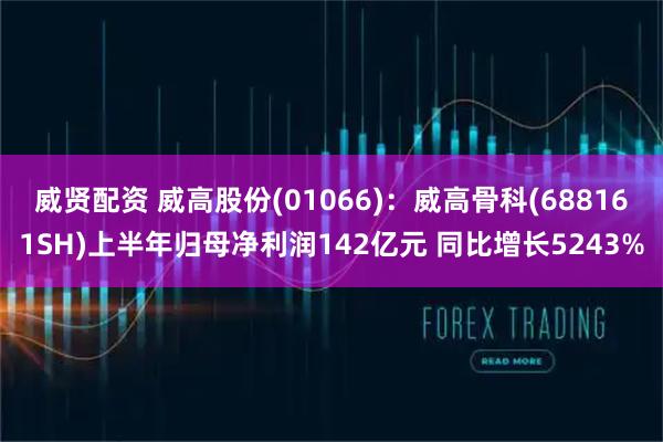 威贤配资 威高股份(01066)：威高骨科(688161SH)上半年归母净利润142亿元 同比增长5243%