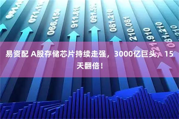 易资配 A股存储芯片持续走强，3000亿巨头，15天翻倍！