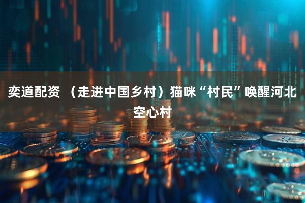 奕道配资 （走进中国乡村）猫咪“村民”唤醒河北空心村