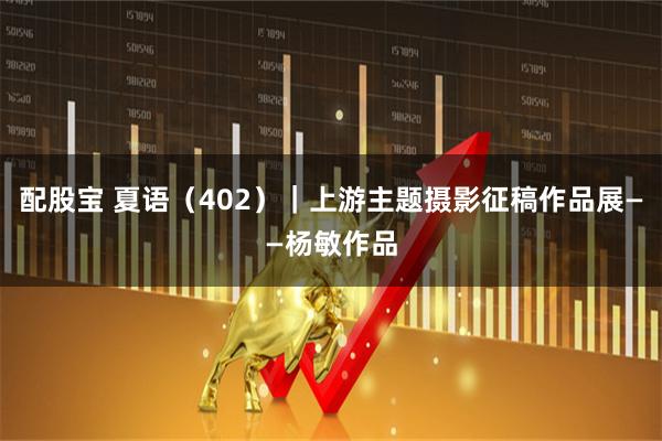 配股宝 夏语（402）｜上游主题摄影征稿作品展——杨敏作品